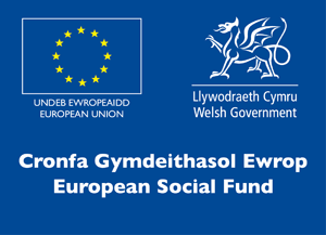 ESF / Welsh Government | Europe & Wales: Investing in your future logo